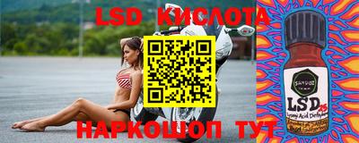 кокс Донской