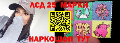 кокс Донской