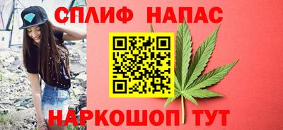 прущие грибы Дубна