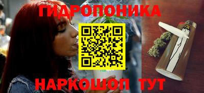 прущие грибы Дубна