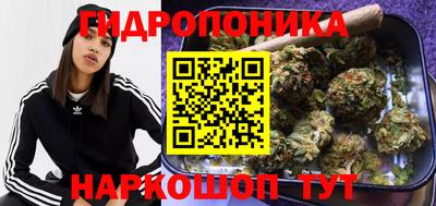 кокс Донской