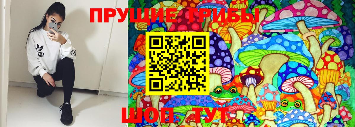 Галлюциногенные грибы GOLDEN TEACHER Кулебаки
