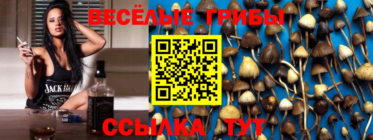 Галлюциногенные грибы Psilocybe  Галлюциногенные грибы мицелий  Кулебаки  Вход с VPN 